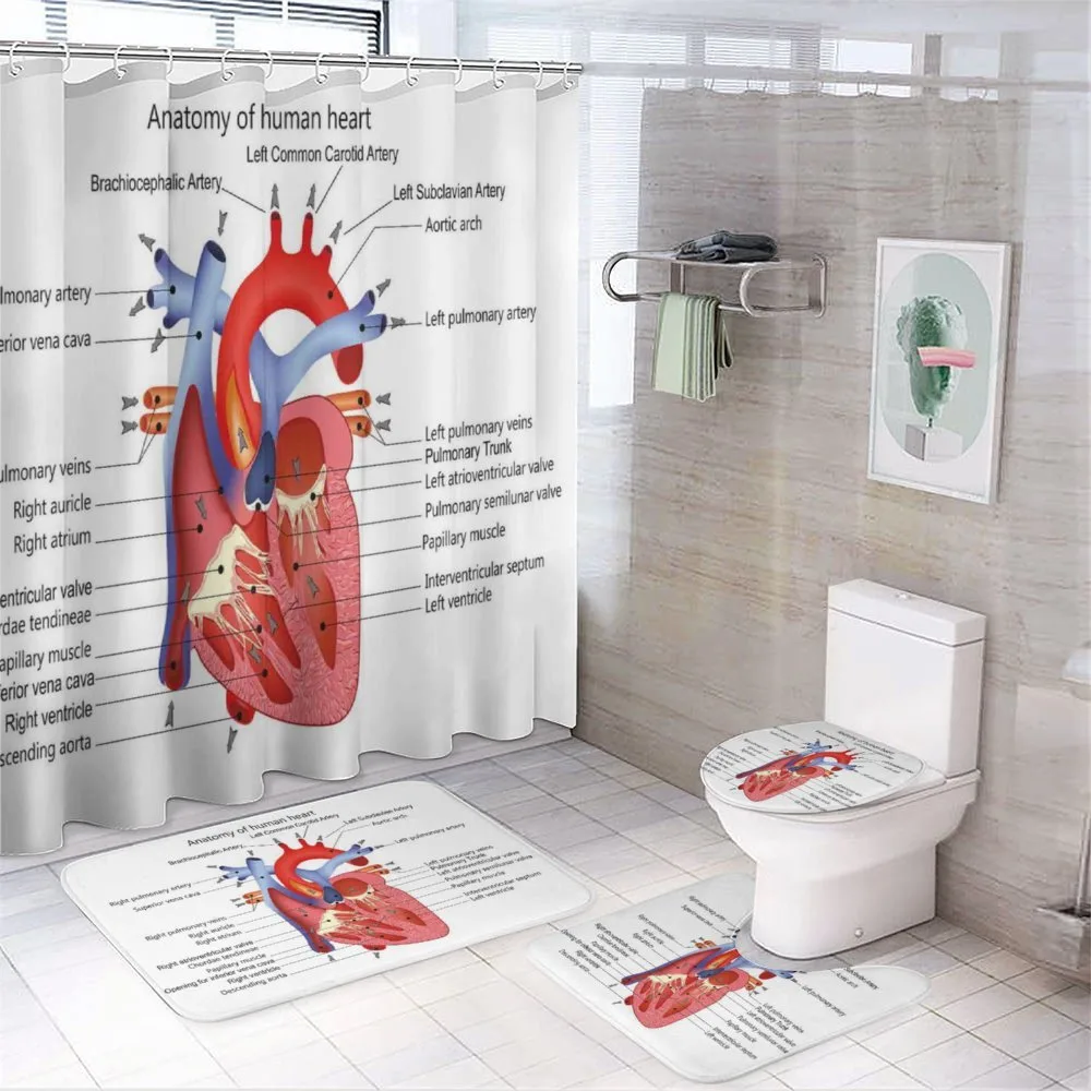 Human Body Organ — 4-Piece Bathroom Set preview