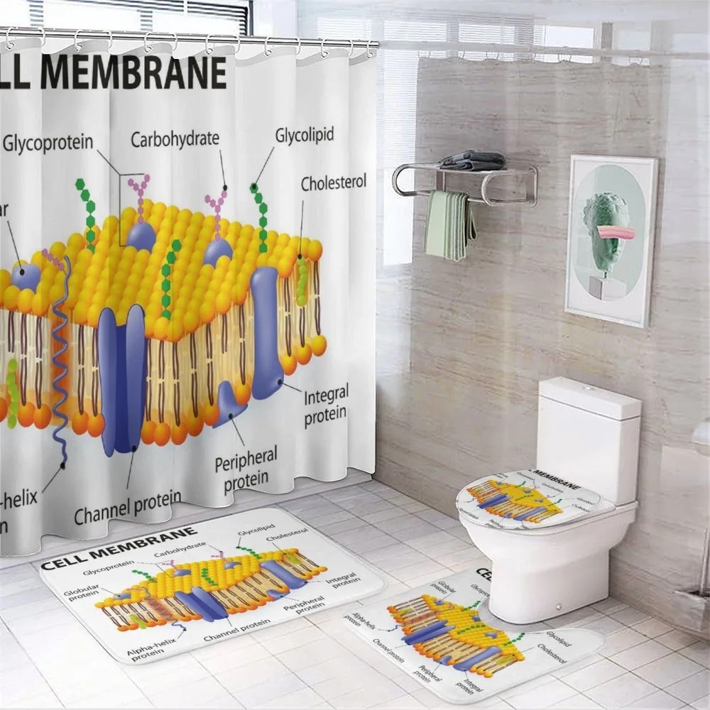 Membrane Cell Types — 4-Piece Bathroom Set preview